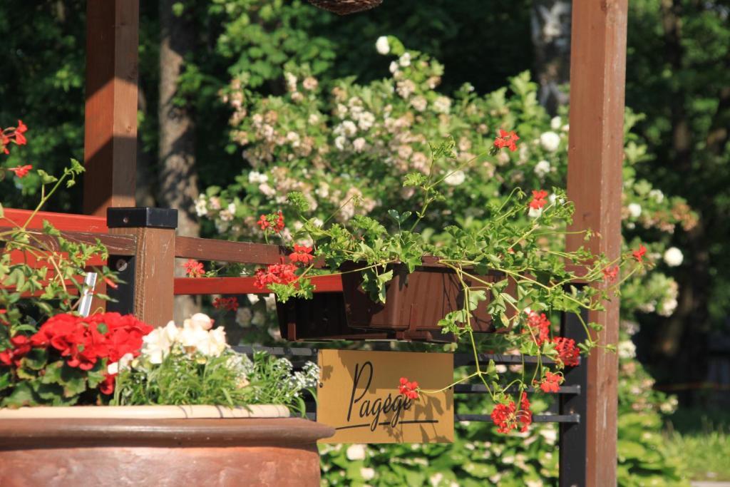 Sveciu Namai "Pagege" Bed and Breakfast Pagėgiai Buitenkant foto